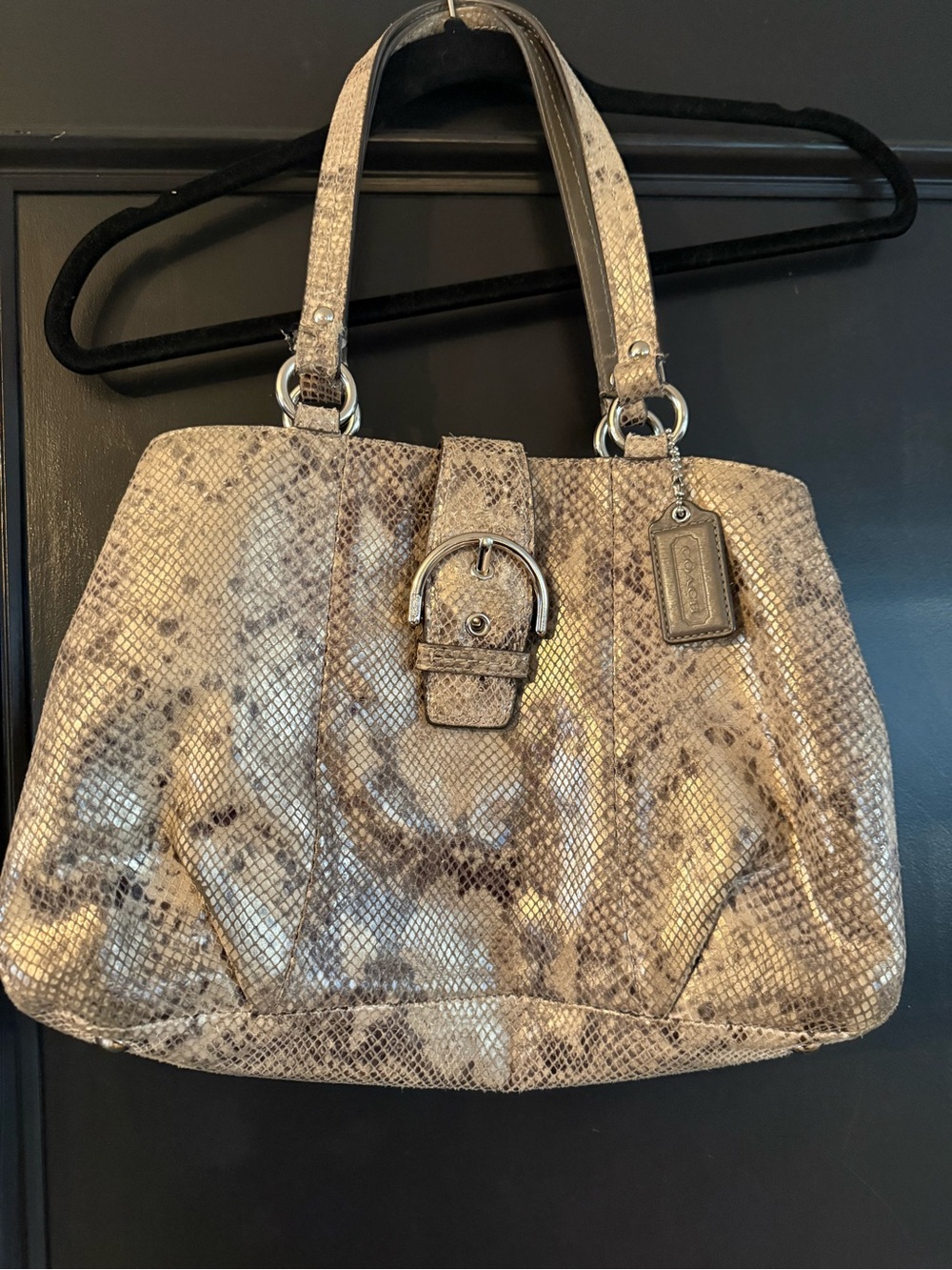 Coach Metallic Taupe Snake-Embossed Shoulder Bag